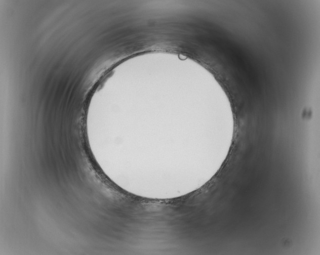 X0000112740098200910011230