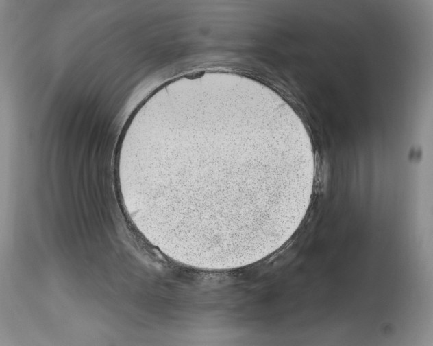 X0000112740099200910011230