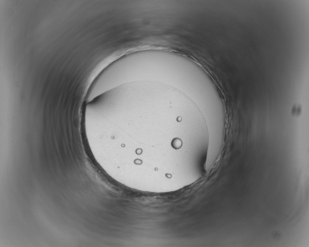 X0000112740100200910011230