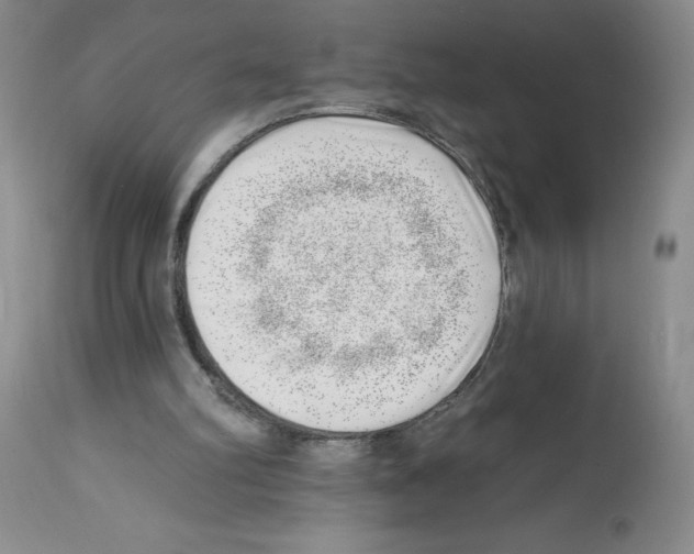 X0000112740102200910011230