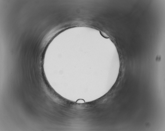 X0000112740103200910011230