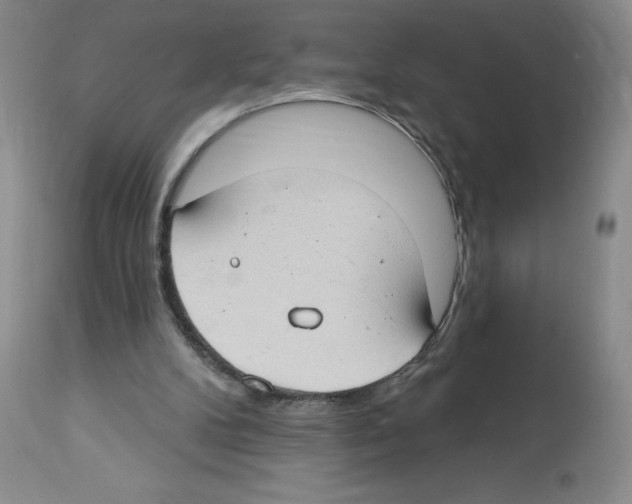 X0000112740104200910011230