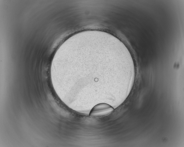 X0000112740106200910011230