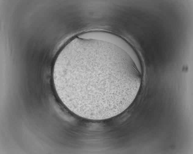 X0000112740107200910011230