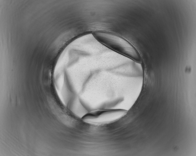 X0000112740109200910011230