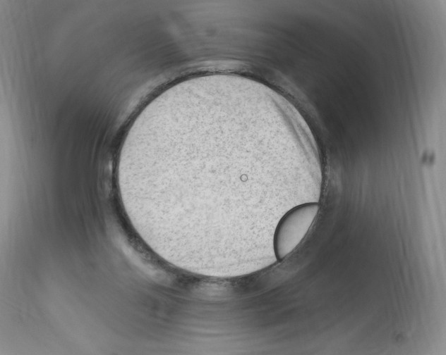 X0000112740110200910011230