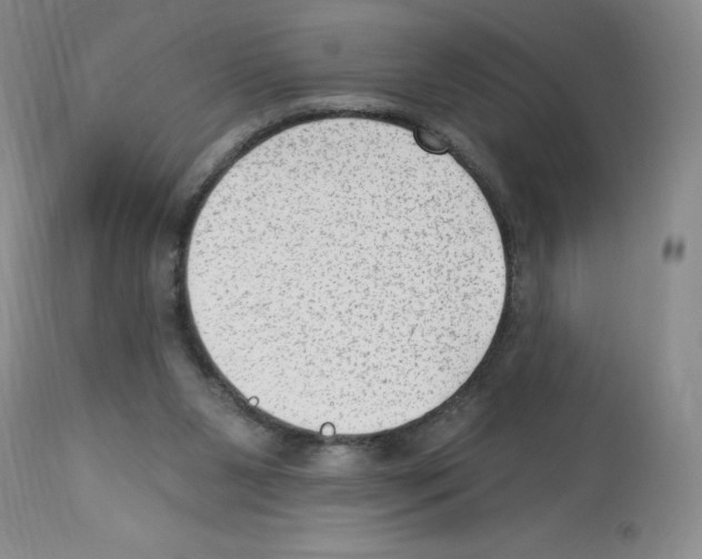 X0000112740111200910011230