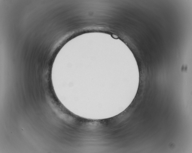 X0000112740112200910011230