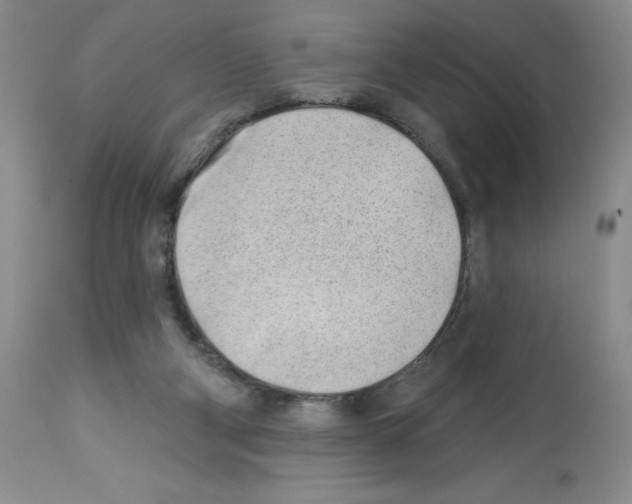 X0000112740114200910011230