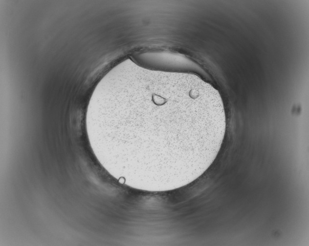 X0000112740115200910011230