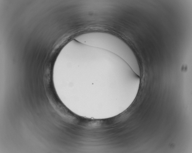 X0000112740116200910011230