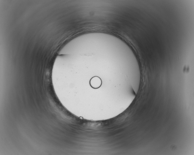 X0000112740117200910011230