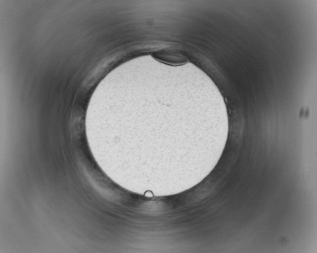 X0000112740119200910011230