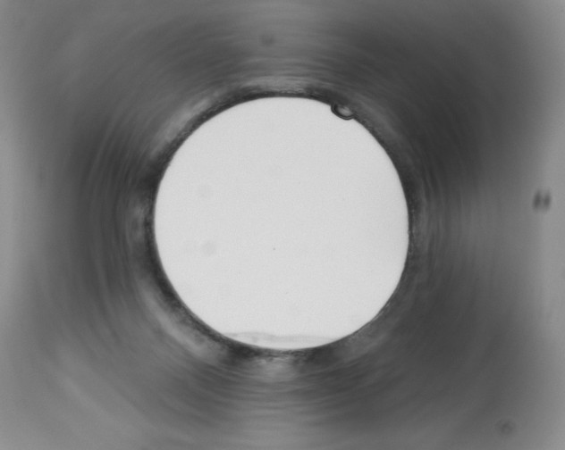 X0000112740120200910011230