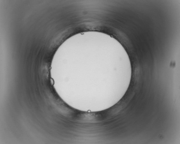 X0000112740121200910011230