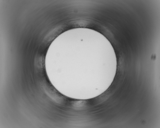 X0000112740122200910011230