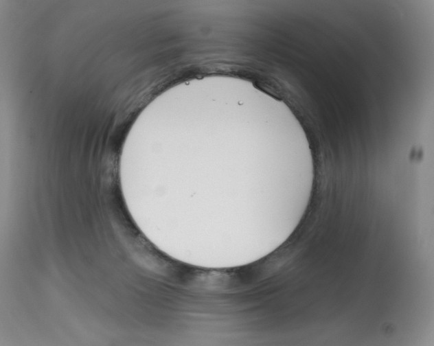 X0000112740125200910011230