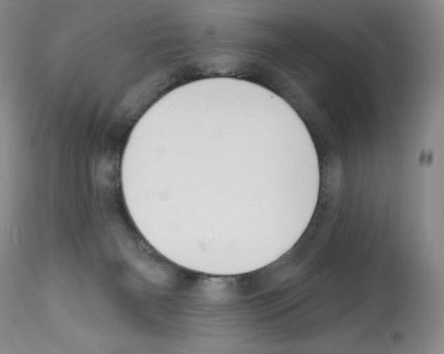 X0000112740126200910011230