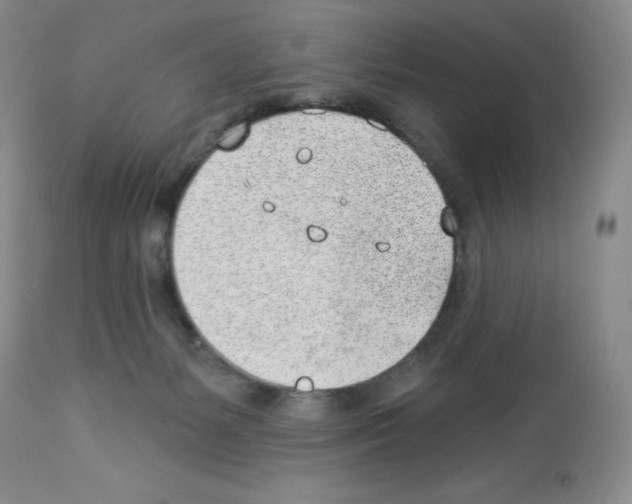 X0000112740127200910011230