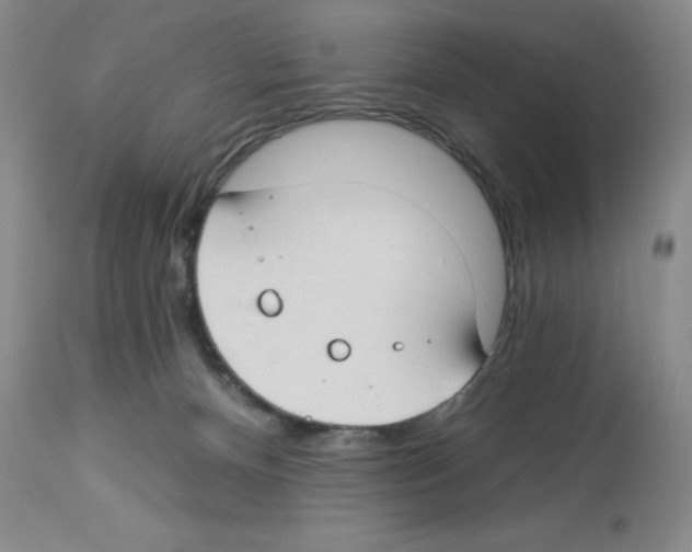 X0000112740128200910011229