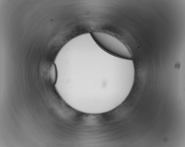 X0000112740129200910011229