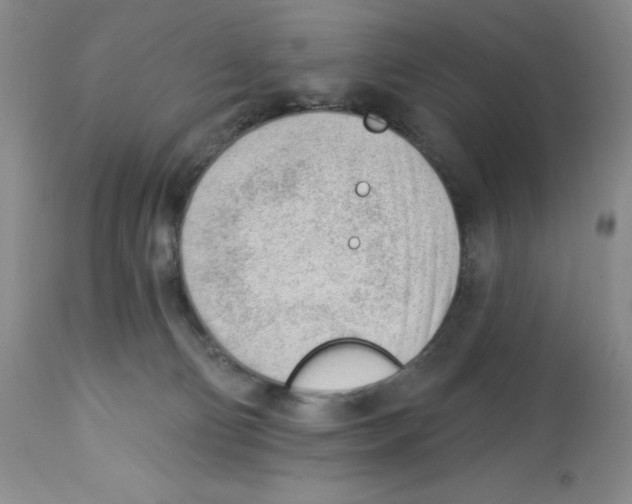 X0000112740130200910011229