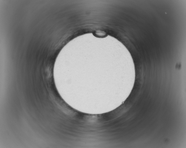 X0000112740131200910011229