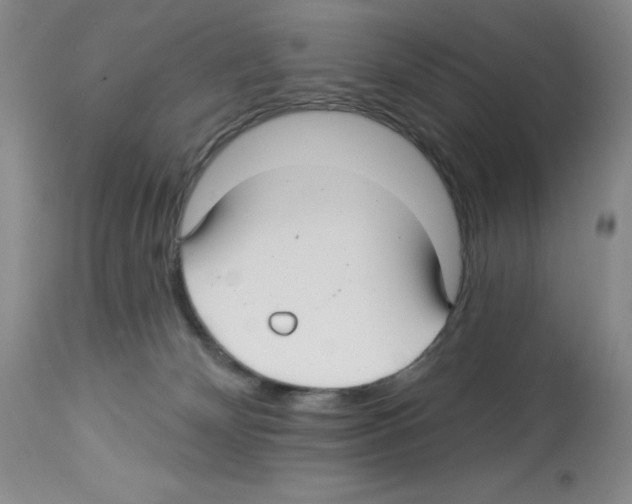 X0000112740132200910011229