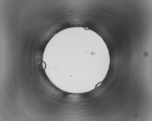 X0000112740133200910011229