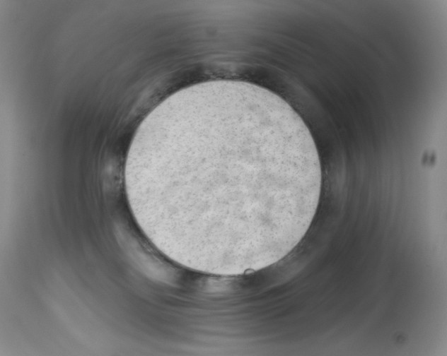 X0000112740134200910011229