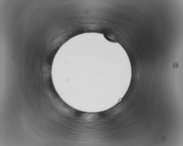 X0000112740135200910011229