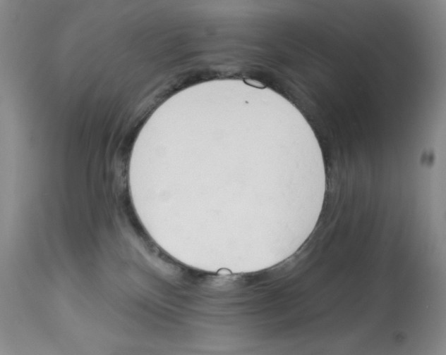 X0000112740136200910011229