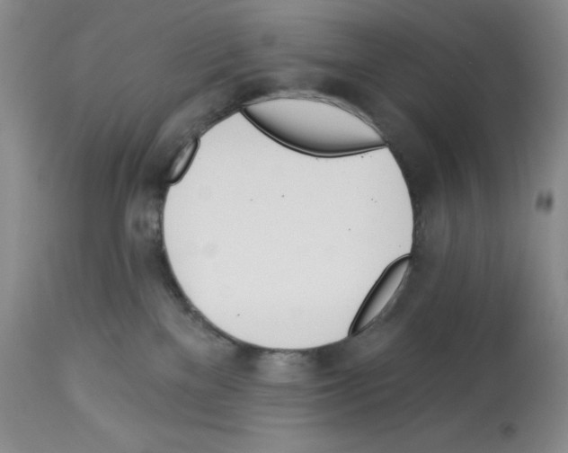 X0000112740137200910011229