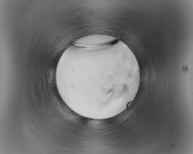 X0000112740139200910011229