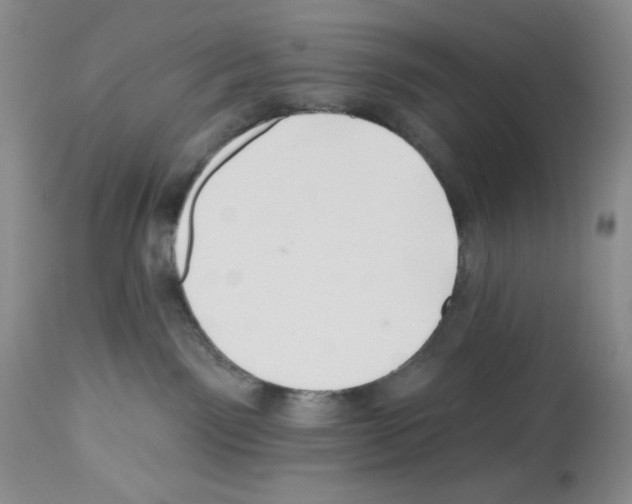 X0000112740141200910011229