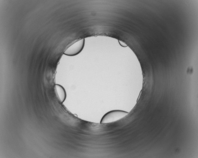 X0000112740142200910011229