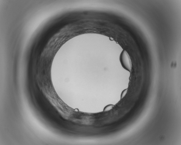 X0000112740143200910011229