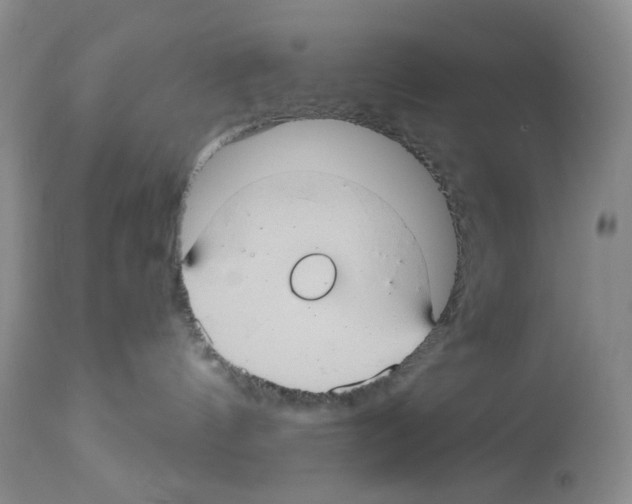 X0000112740144200910011229