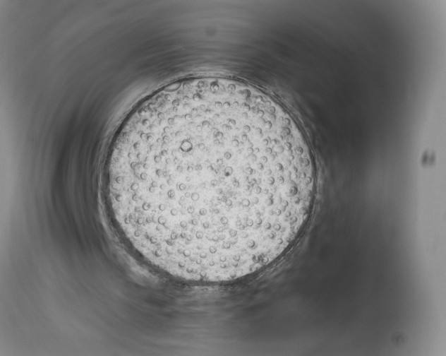 X0000112740145200910011228