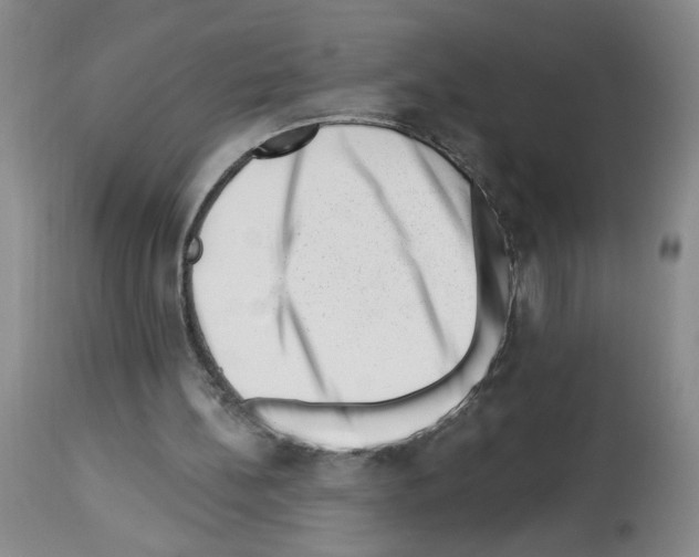 X0000112740148200910011228