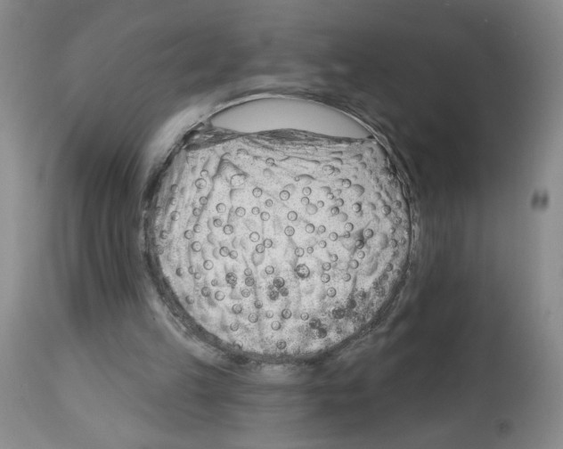 X0000112740149200910011228