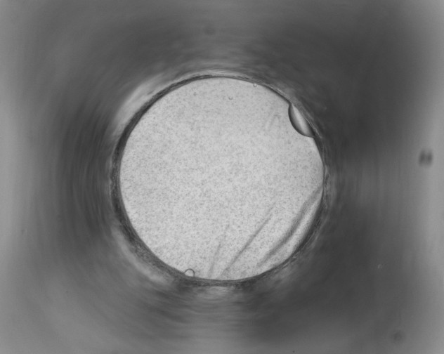 X0000112740151200910011229