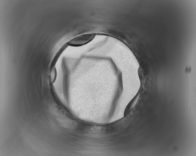 X0000112740152200910011229