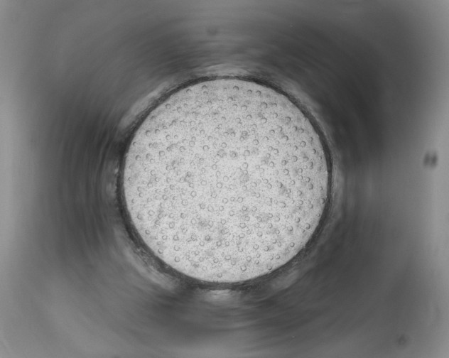 X0000112740153200910011229