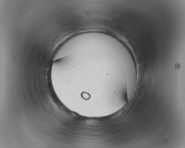 X0000112740154200910011229