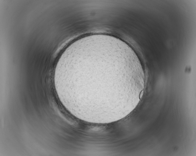 X0000112740155200910011229