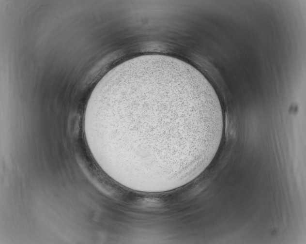 X0000112740157200910011229