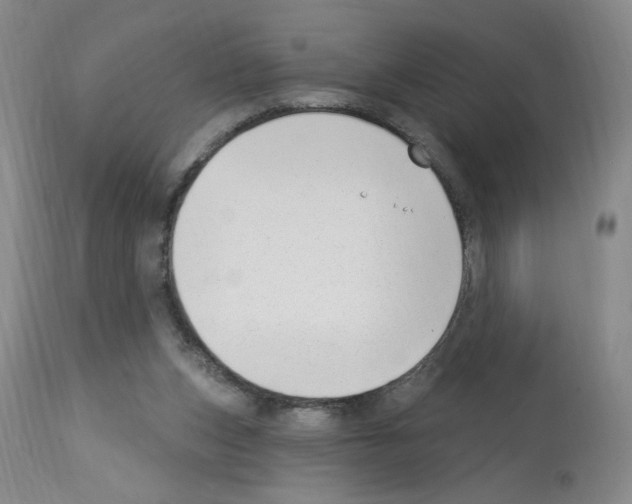 X0000112740159200910011229