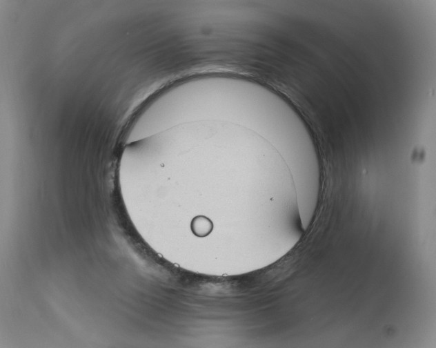 X0000112740160200910011229