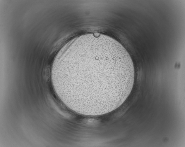 X0000112740165200910011229